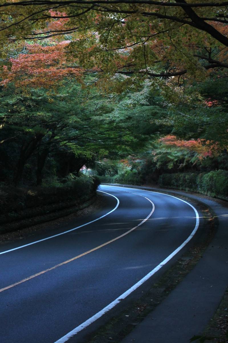 霧島エリアのおすすめ紅葉スポット