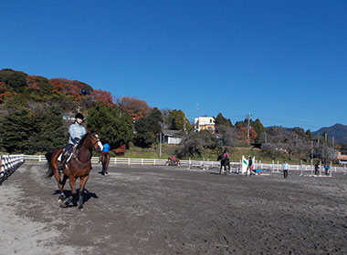 霧島高原乗馬クラブ